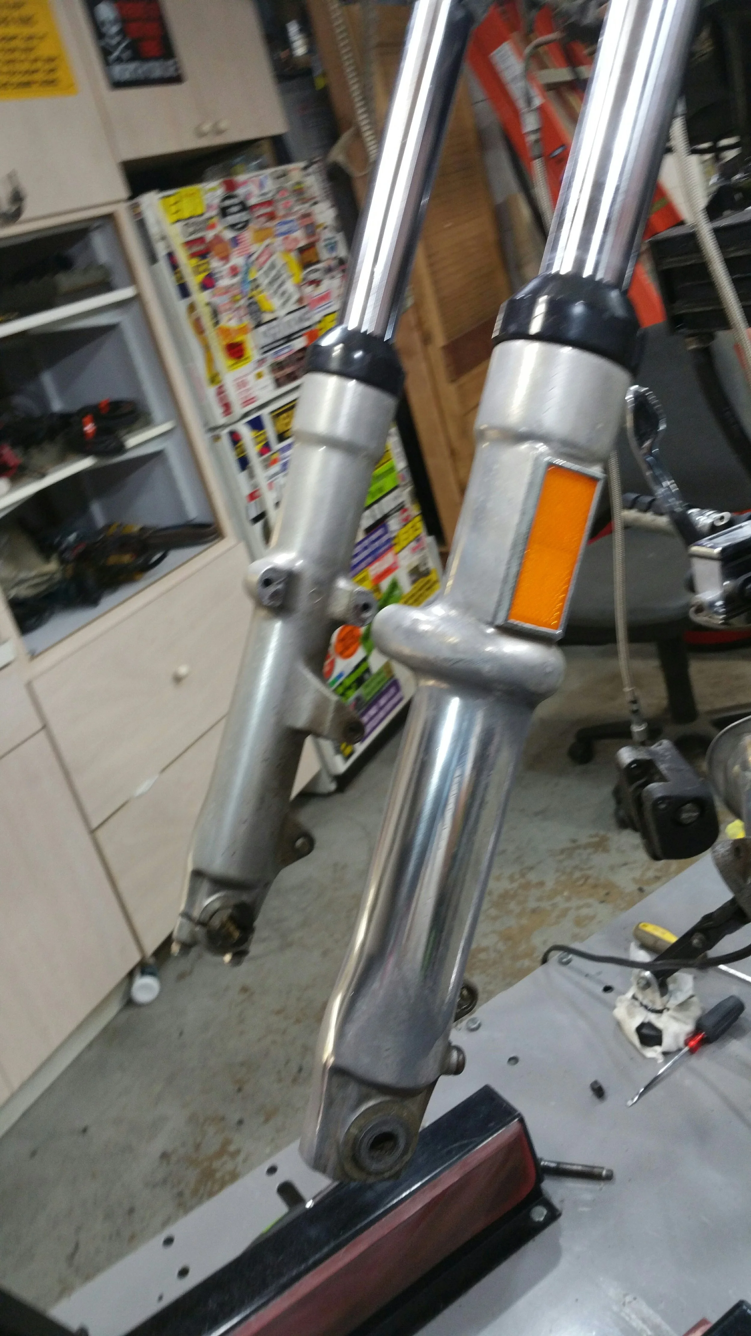20190625_152806.jpg