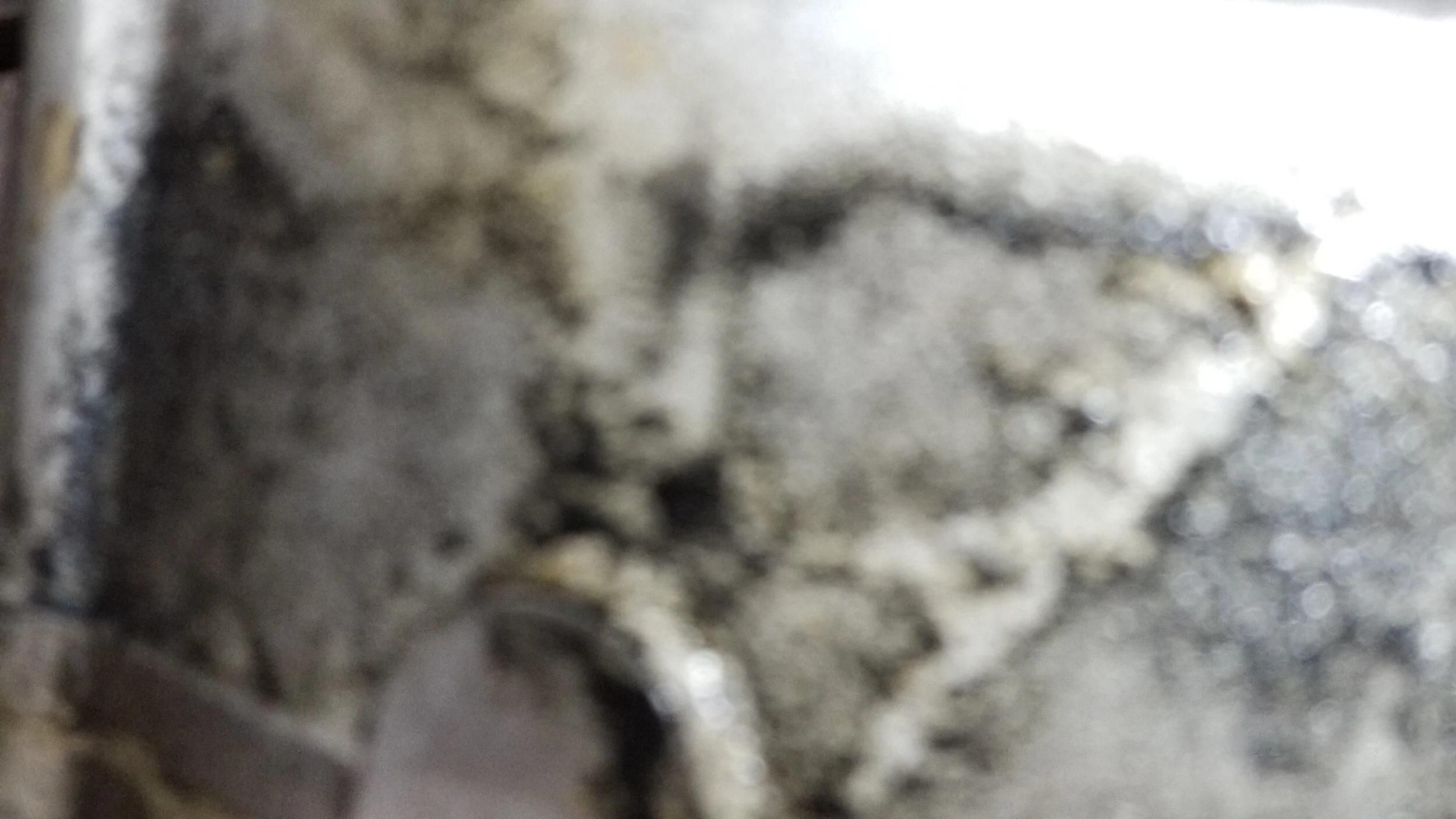 20210325_215453.jpg