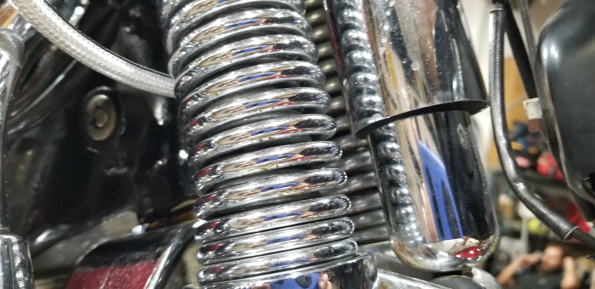 20220319_170755.jpg