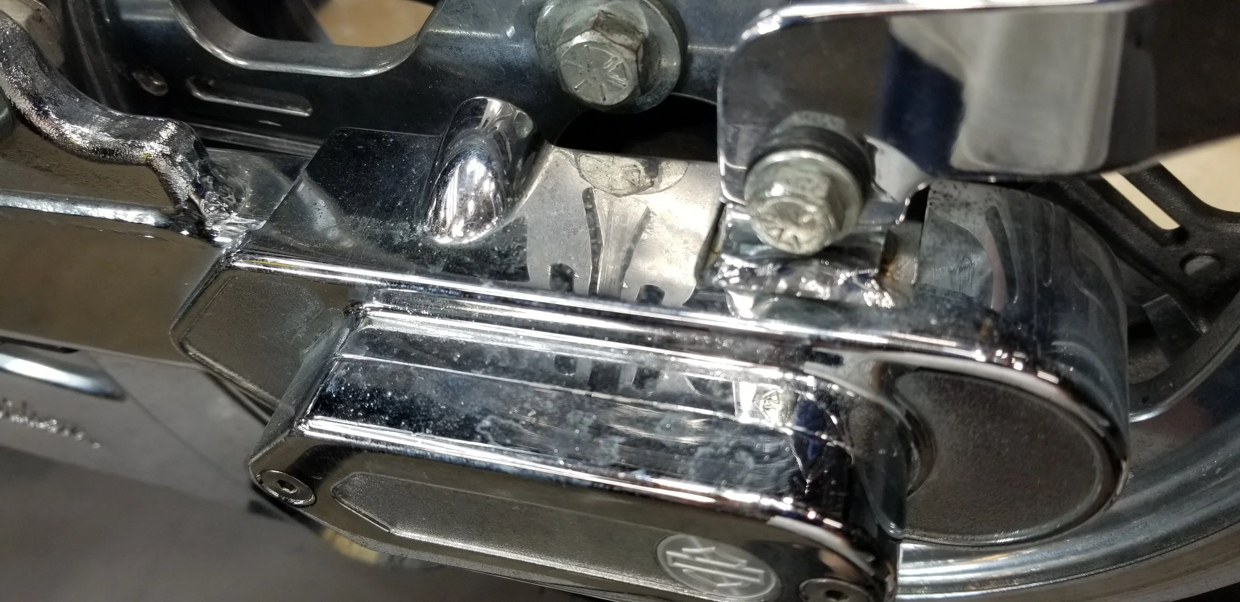 20260408_172923.jpg