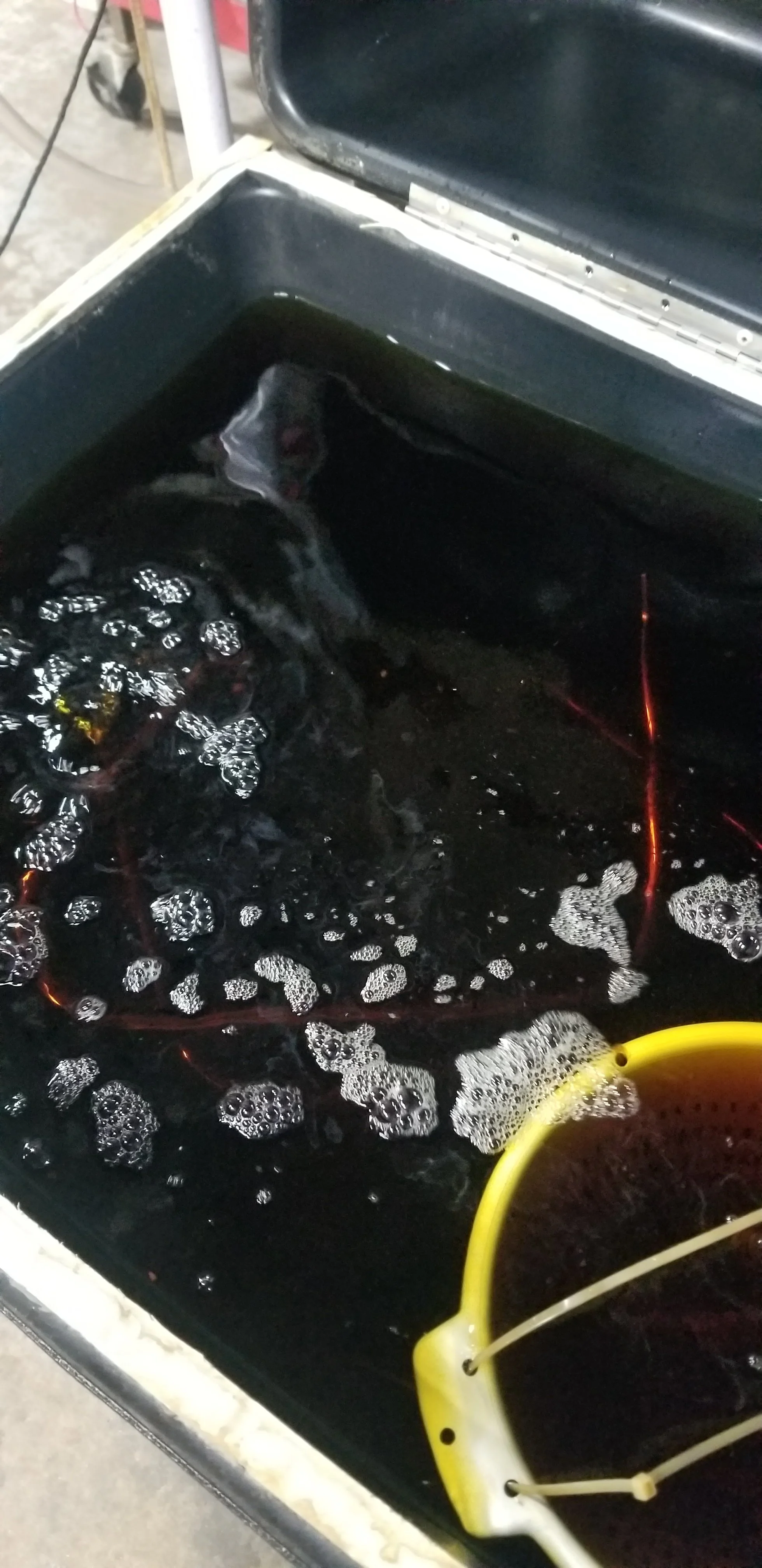 20260703_174416.jpg