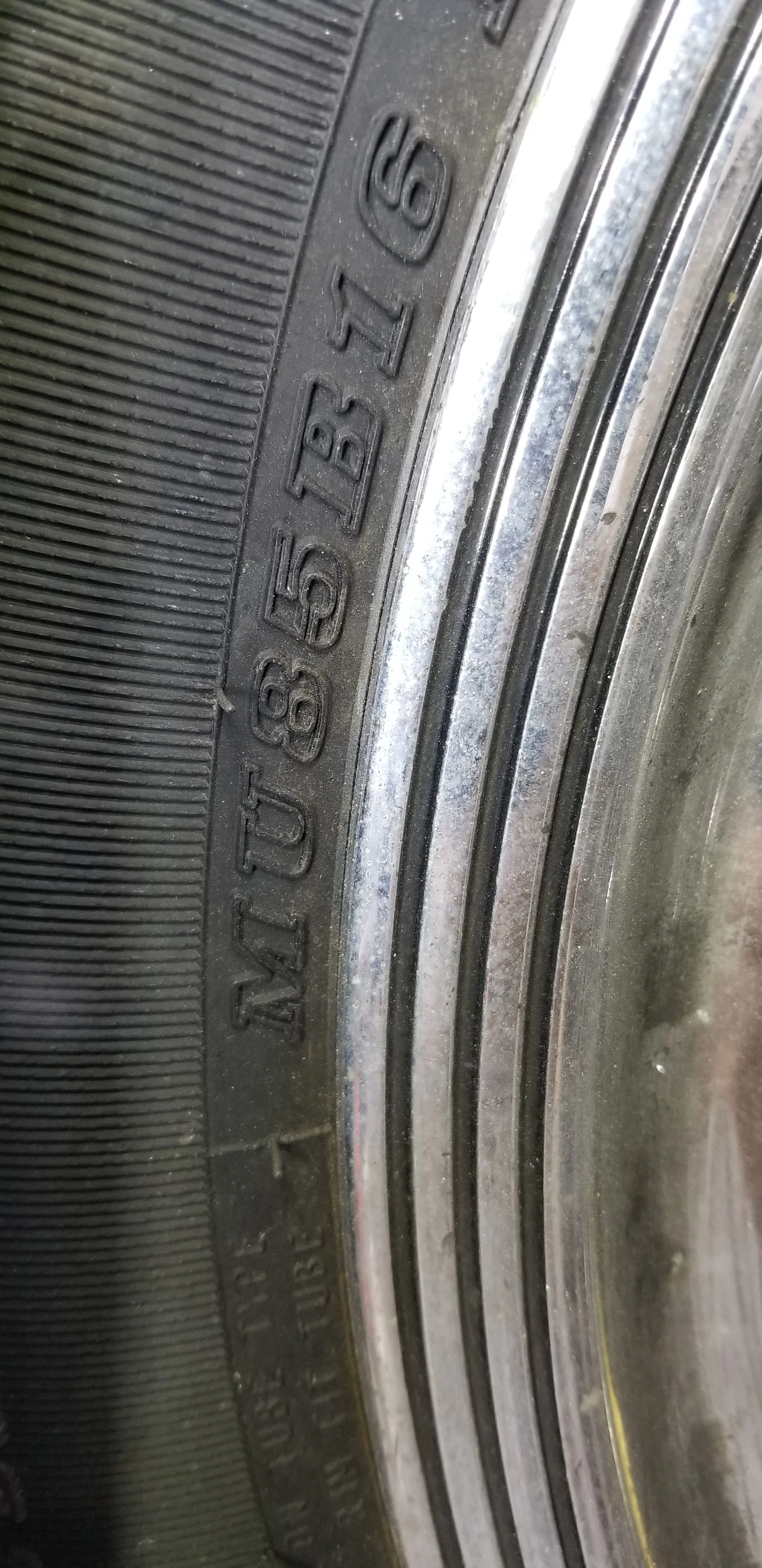 20260704_183538.jpg