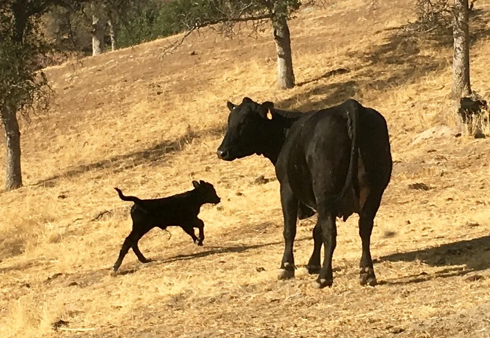 This little guy was just born