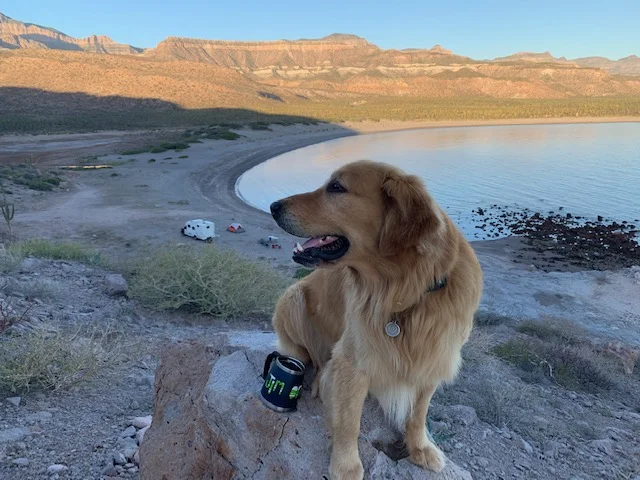 What would be a perfect day