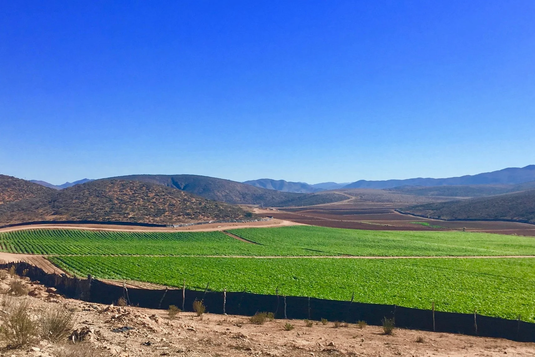Passing many fields on the way to the mountains