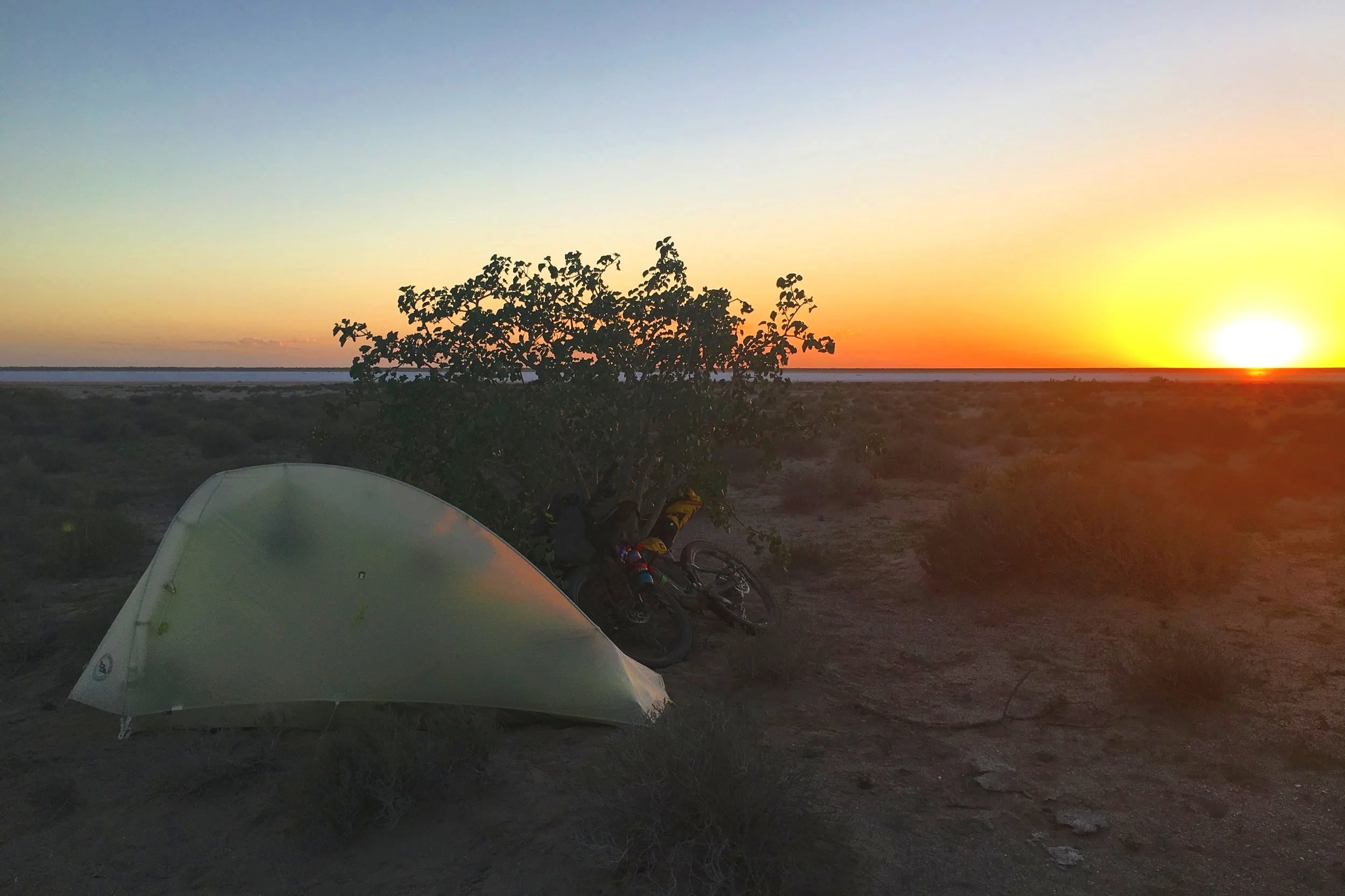 Sunset on the salt flats. Hiding behind a solitary tree