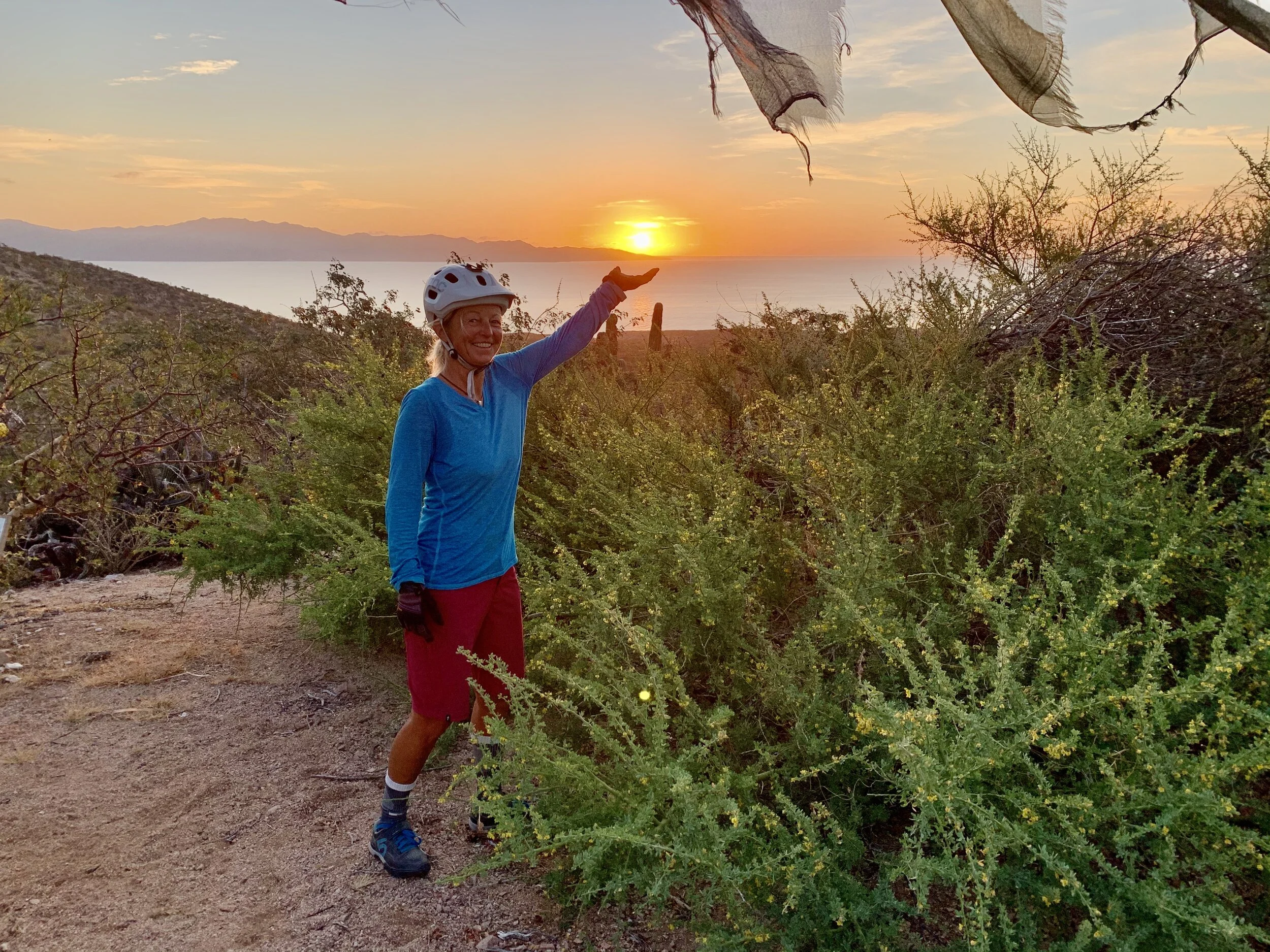 Easter Eggs and Bunnies