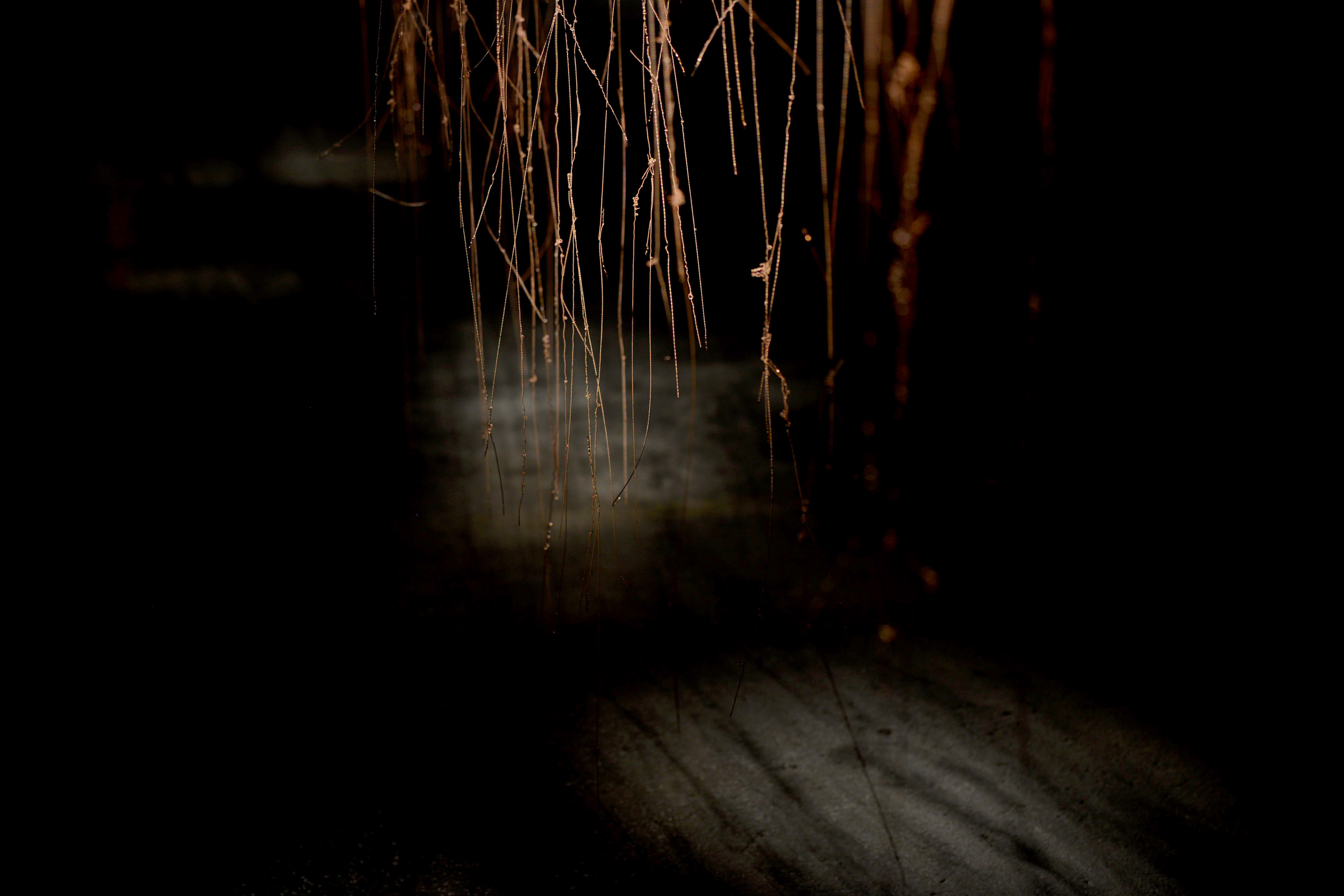 Deadwire_Website_5.png