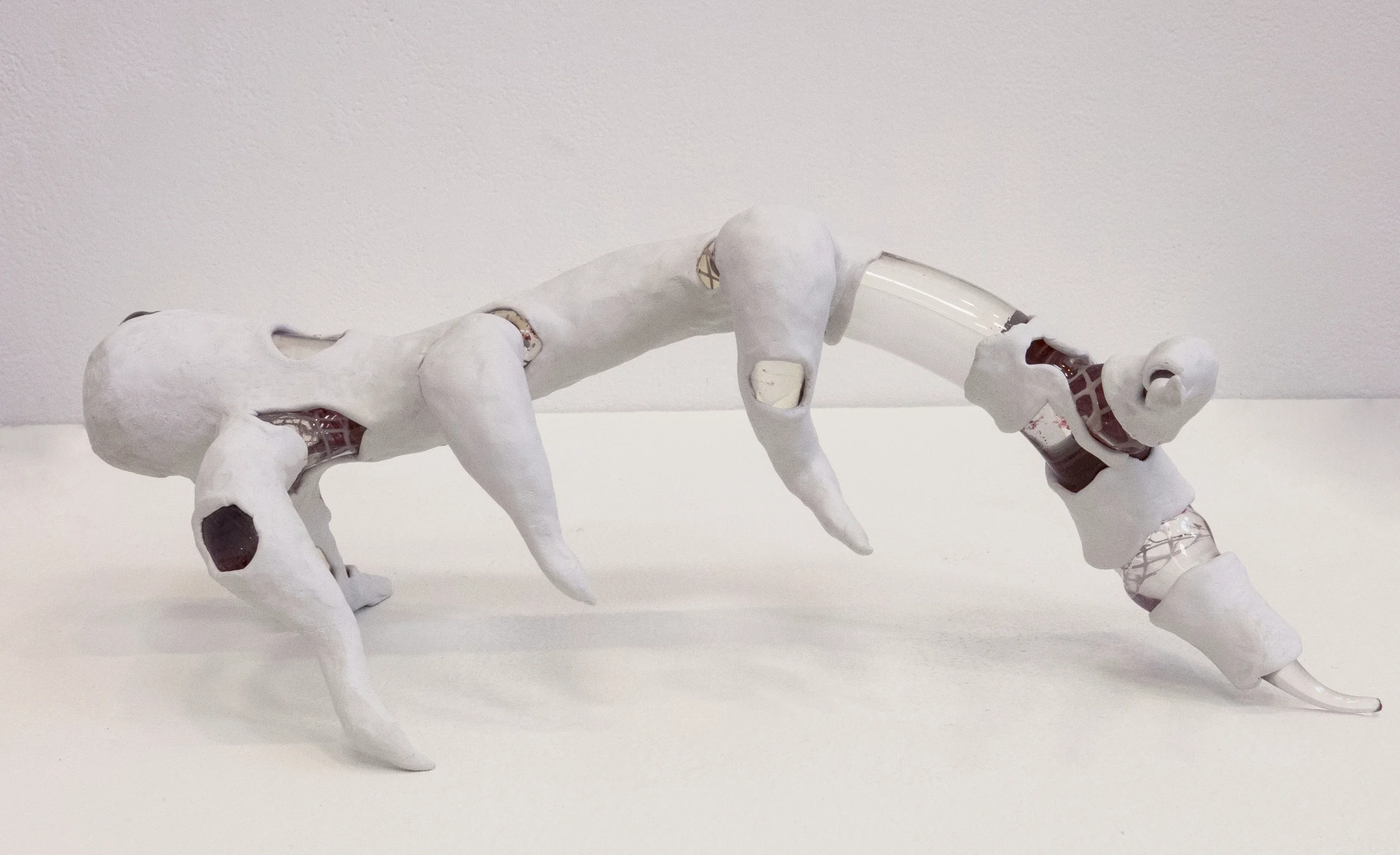 appendage5.jpg