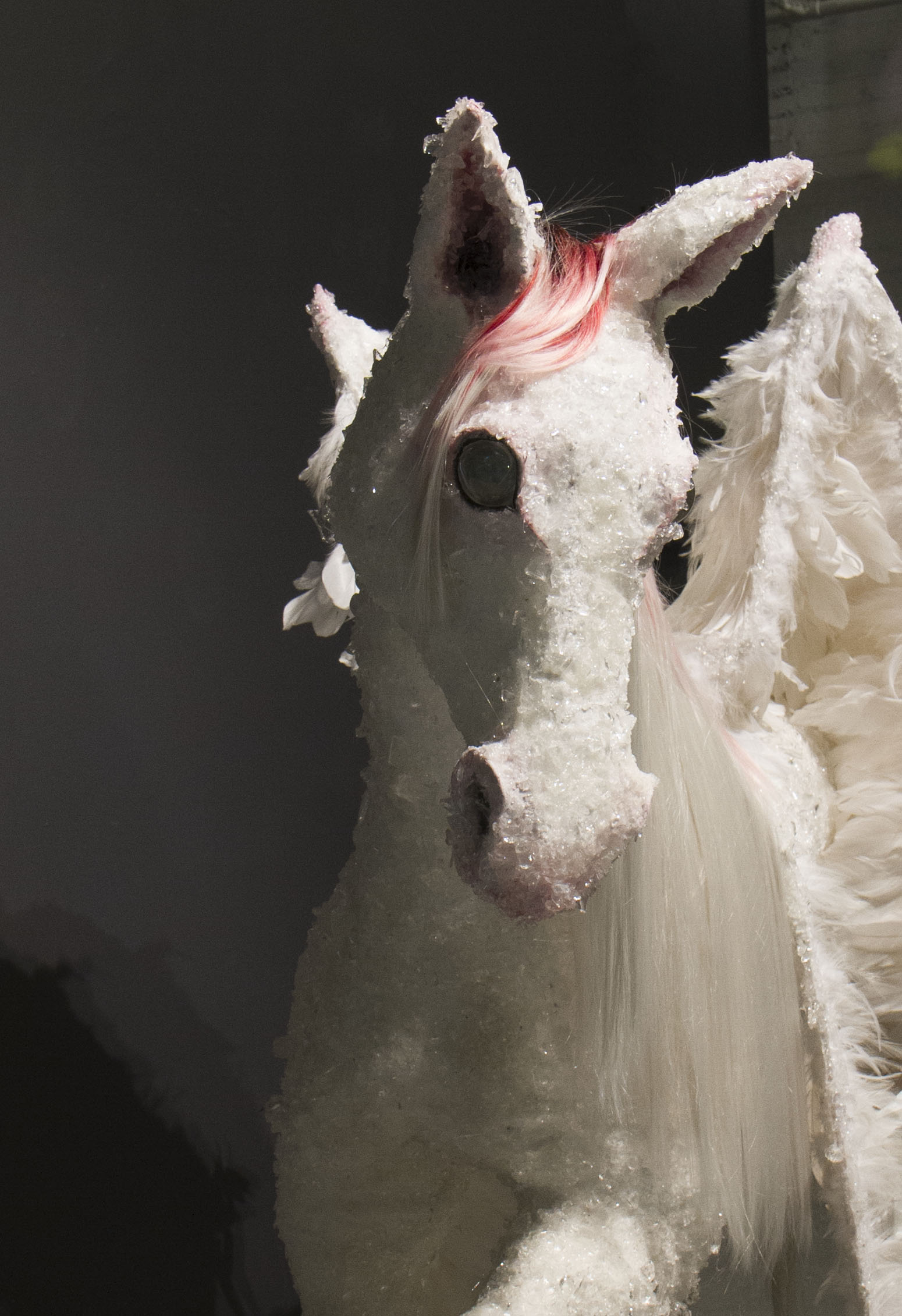peggy4.jpg