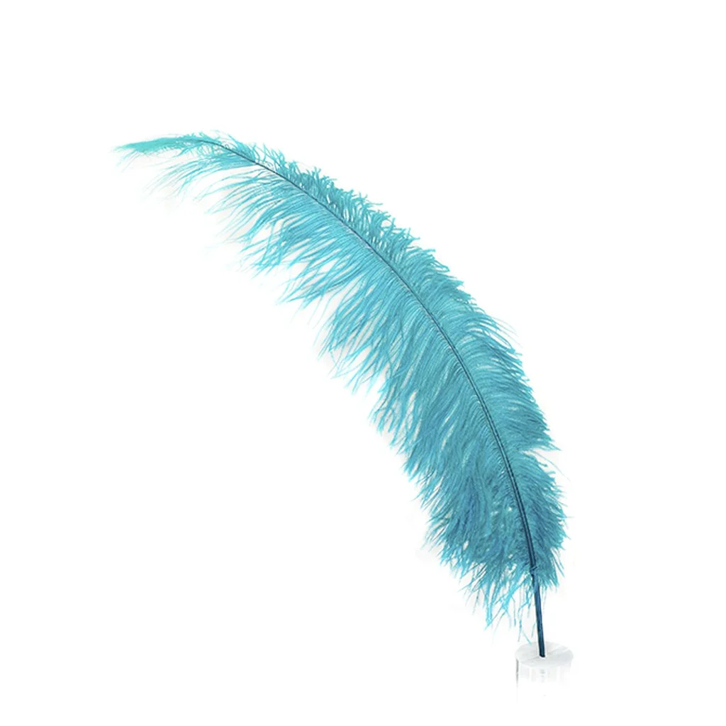 feather-03.jpg