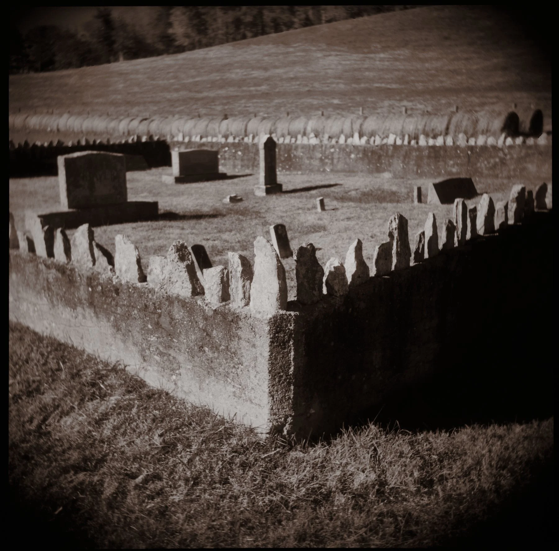 Holga_06.jpg