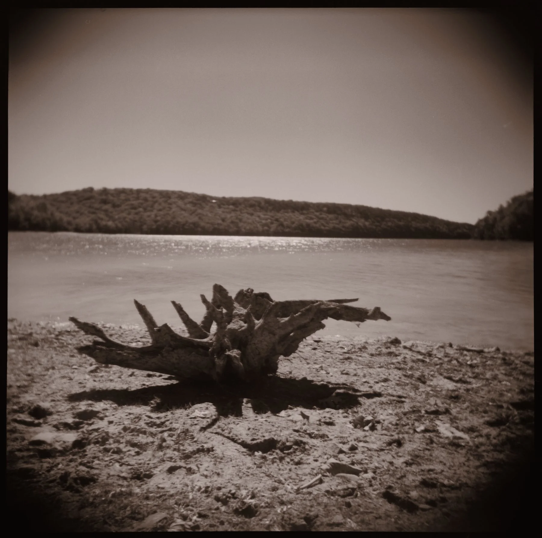 Holga_08.jpg