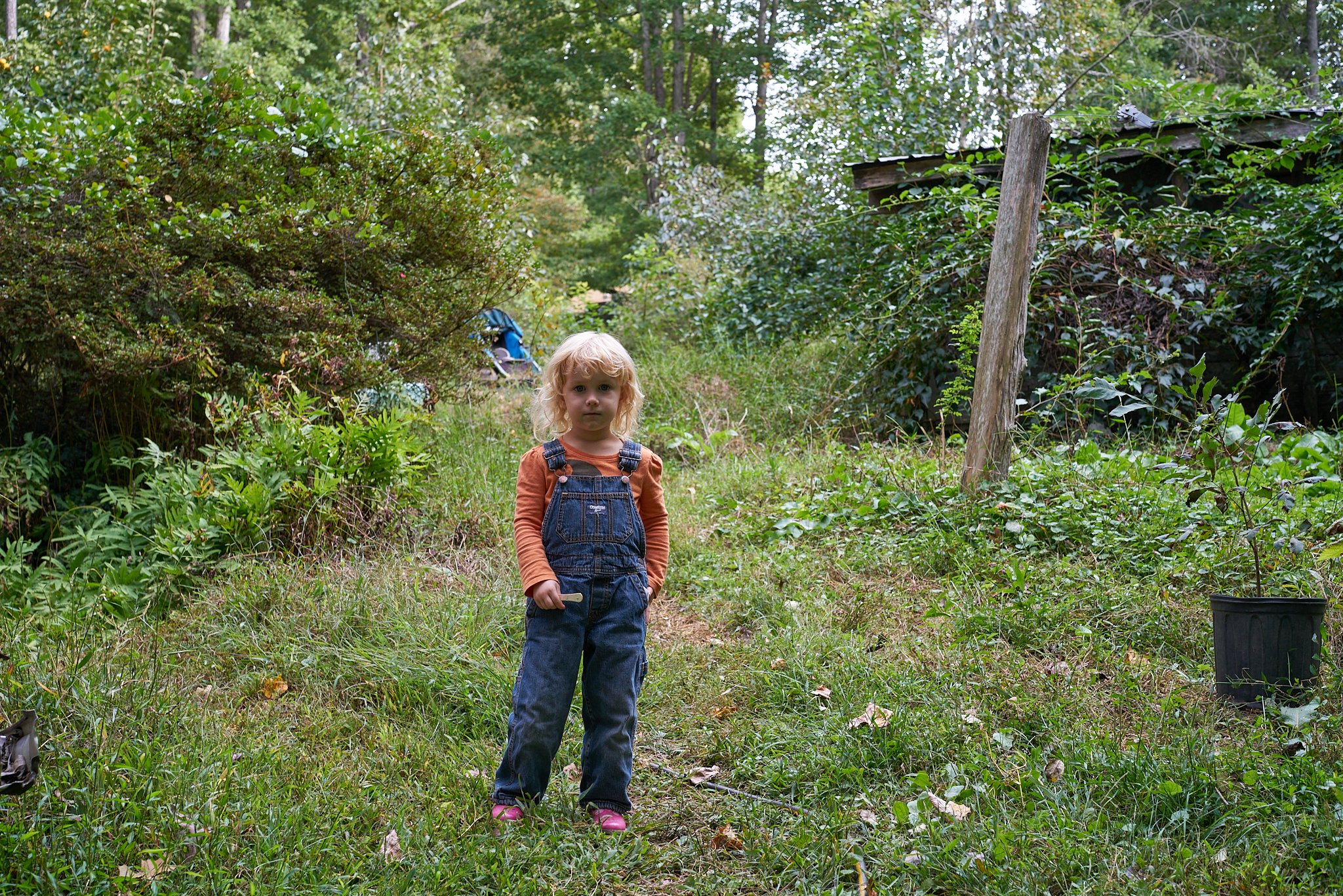 DCR01555.jpg