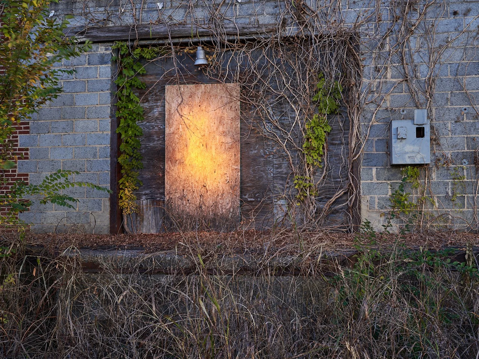 GoldenDoor_AH24.jpg