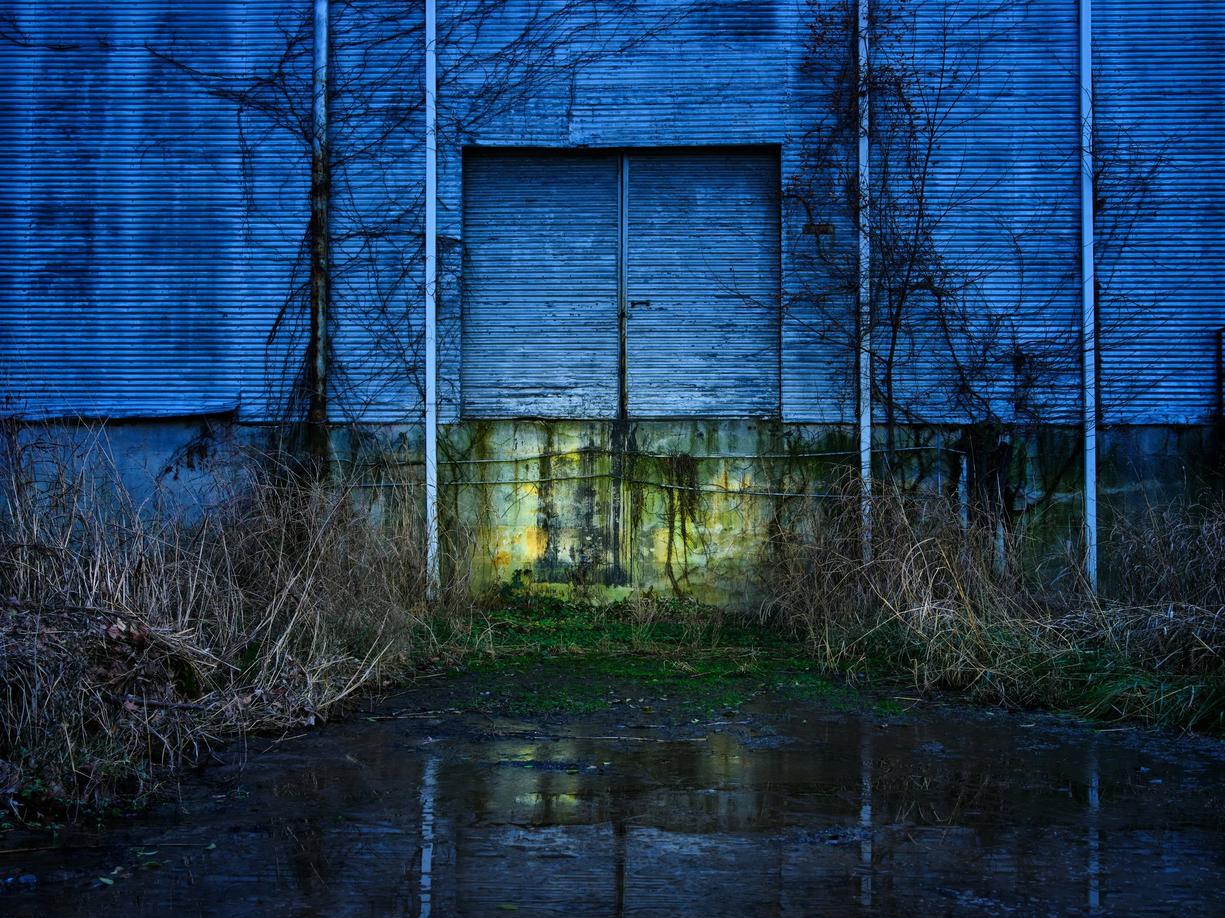 NwWh_0062.jpg