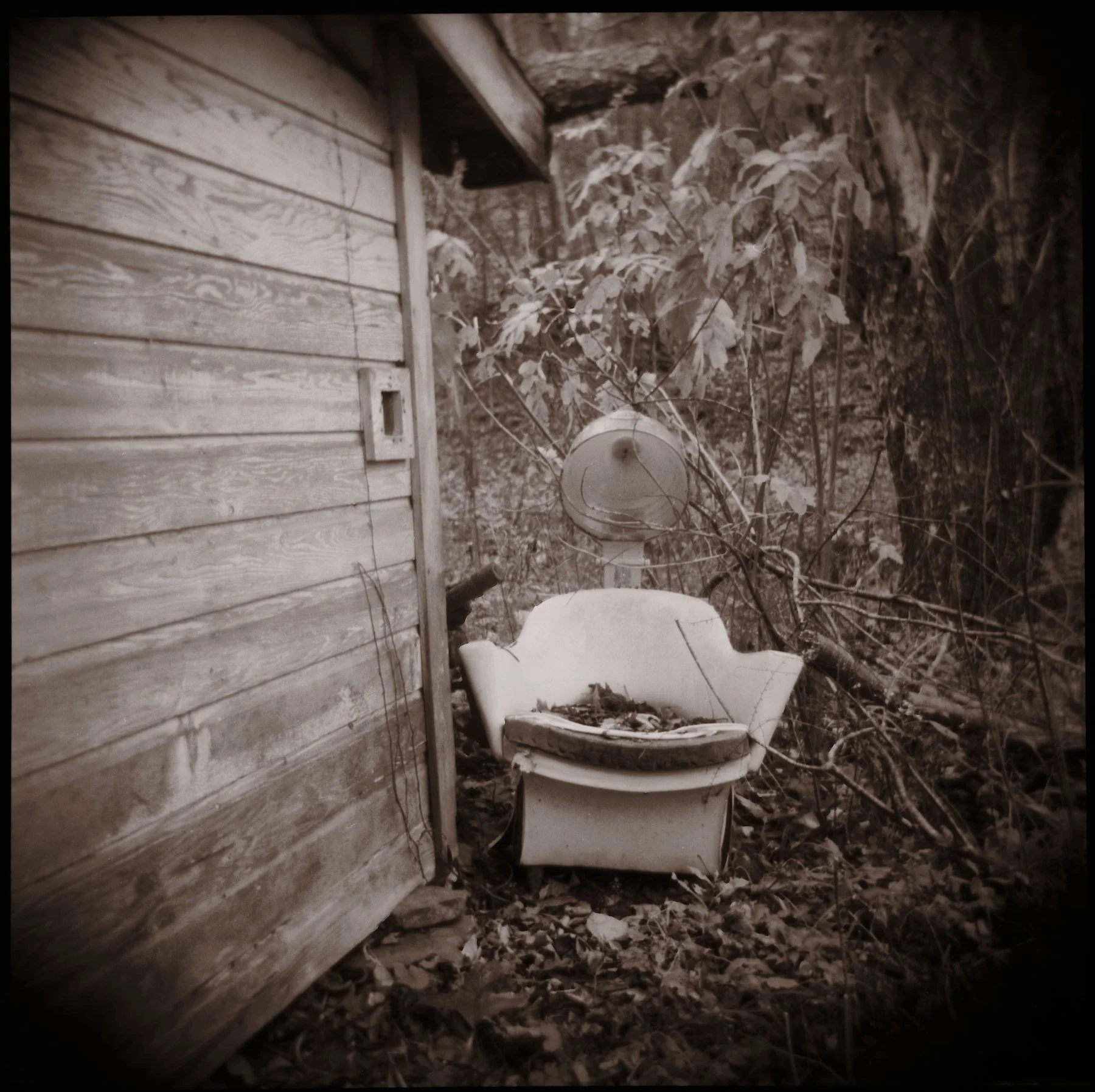 Holga_16.jpg