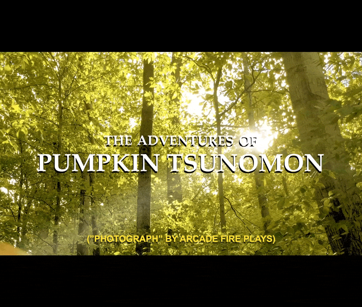 Pumpkin1-min.gif