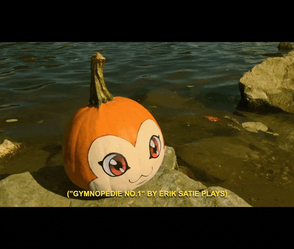 Pumpkin2-min.gif