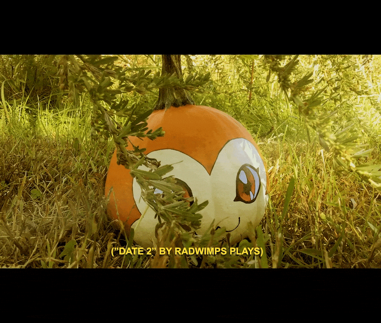 Pumpkin3-min.gif