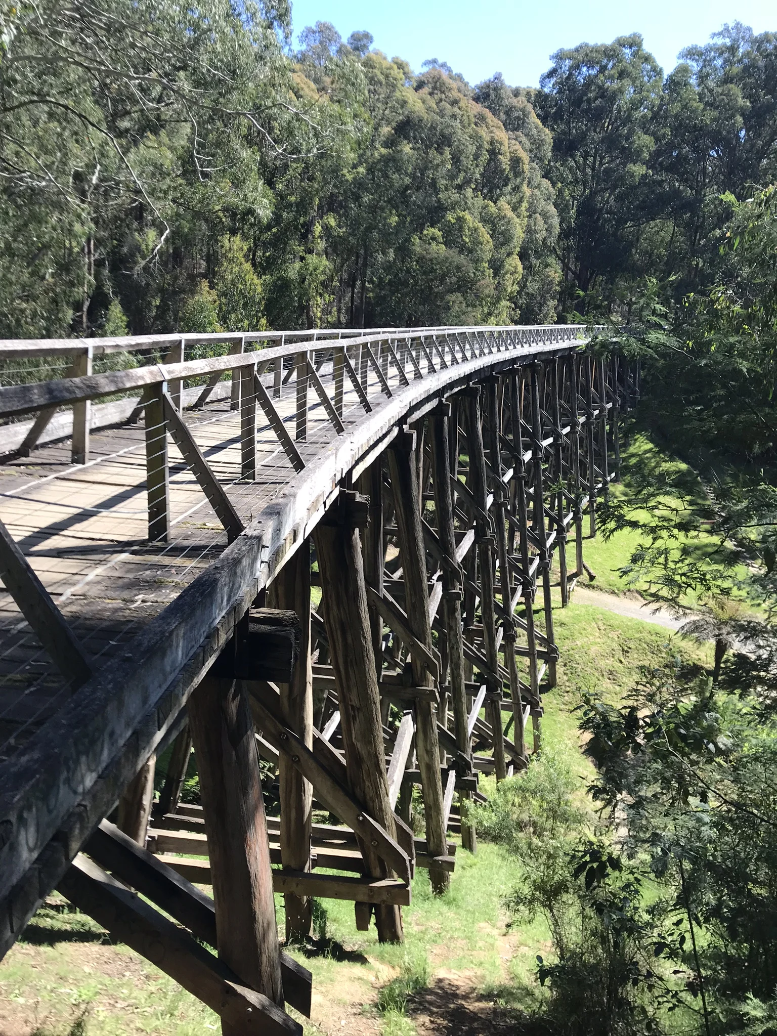 Noojee Trestle Bridge Rail Trail, Gippsland
