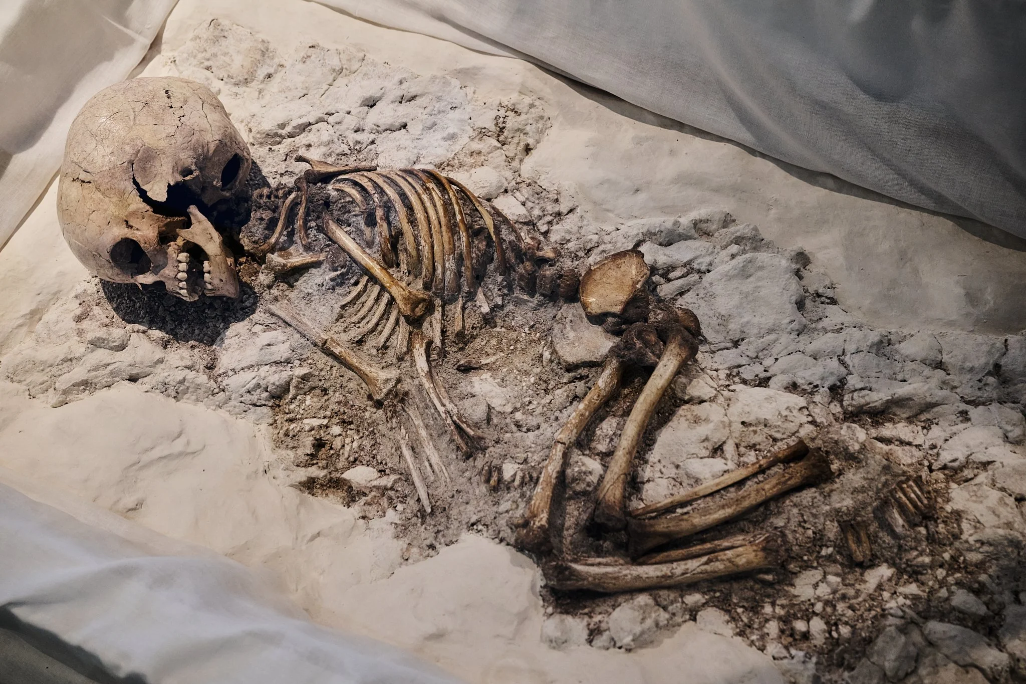 Documentary fieldwork photograph of a Neolithic Child’s Skeleton in the Alexander Keiller Museum, showing skeletal remains from 3350 BC