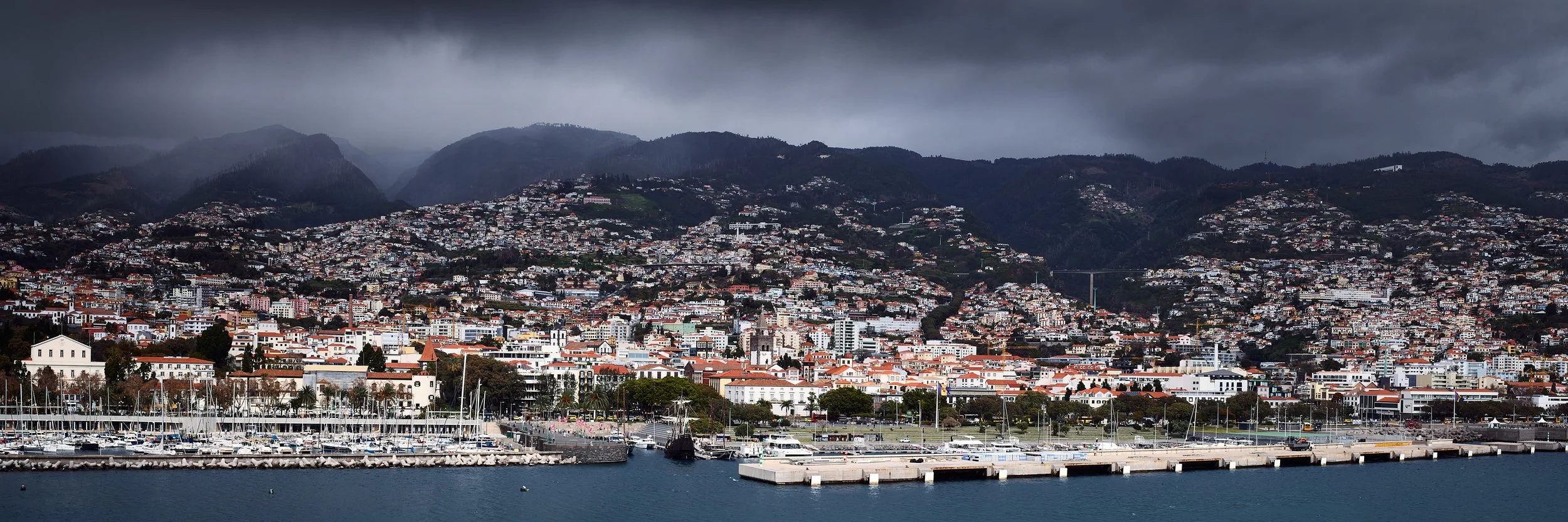 Documentary photography of Funchal harbour in panorama capturing layered hillside vineyards above the urbanisation