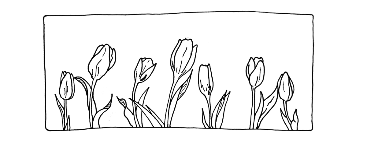 Tulips Header.png