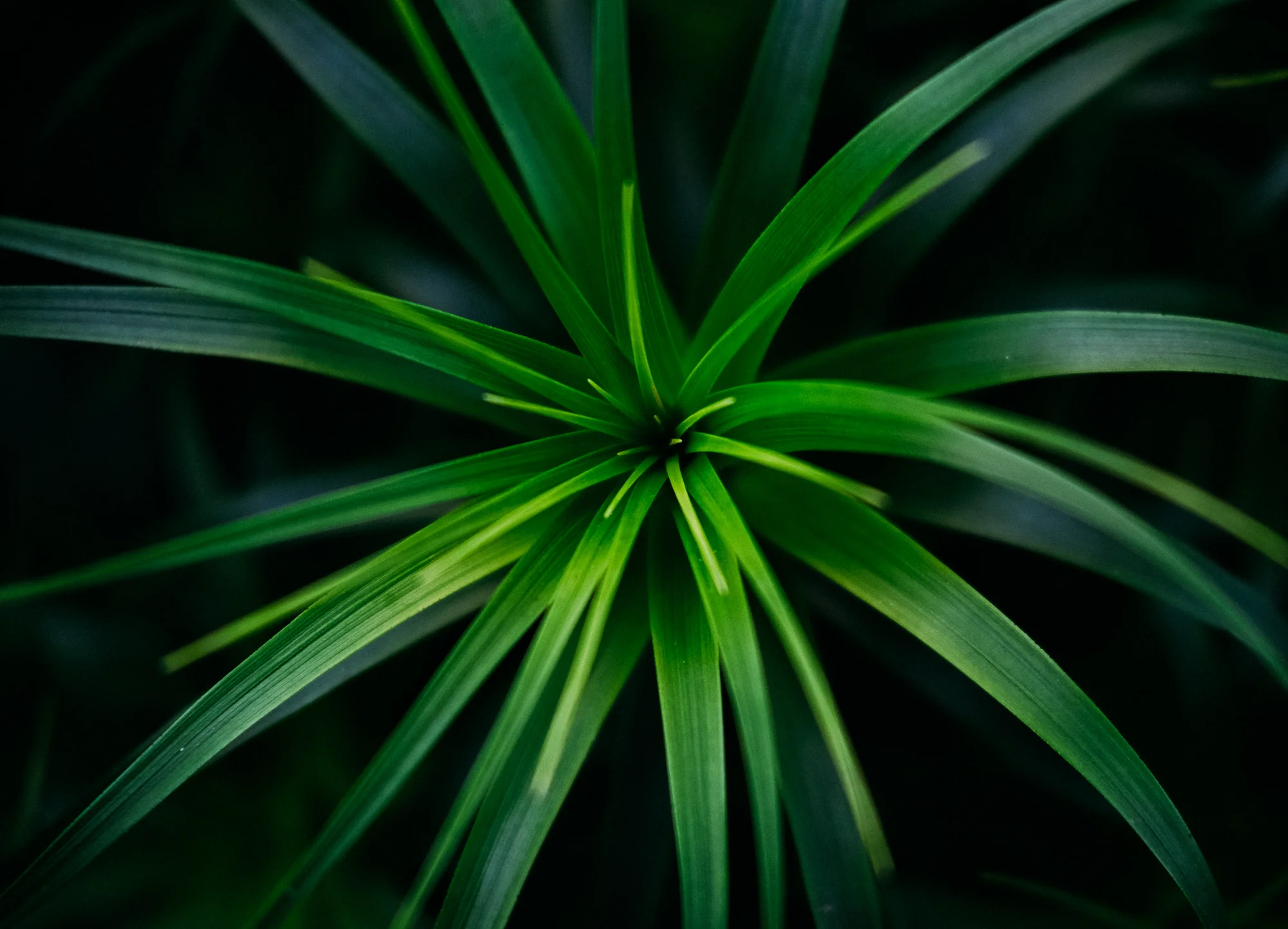 DSCF5896.jpg