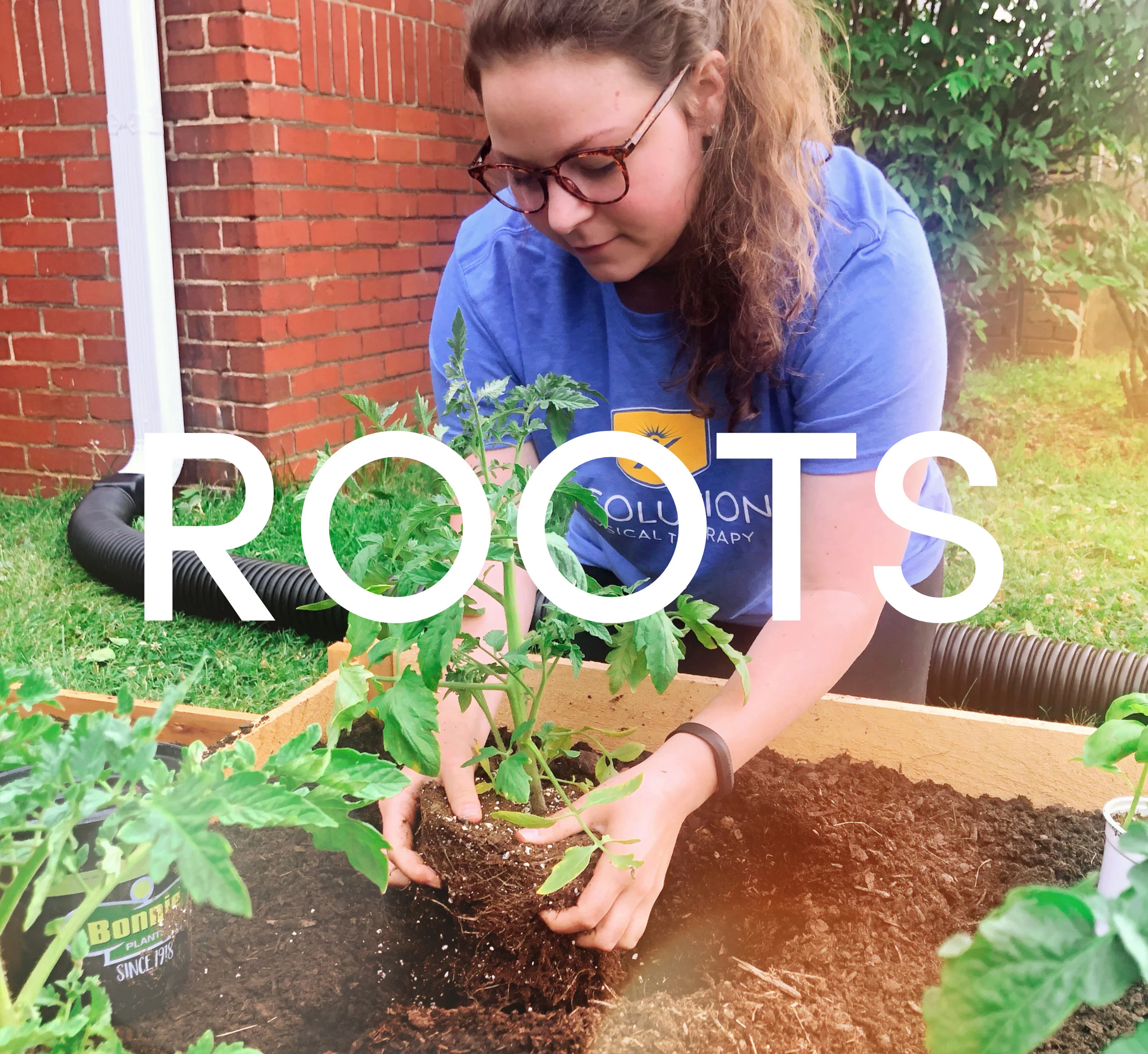 Roots