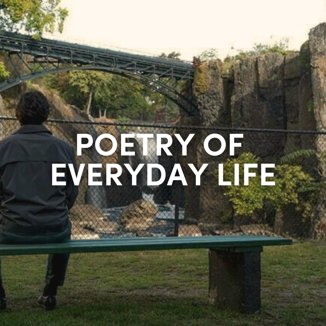 Paterson: The Poetry of Everyday Life