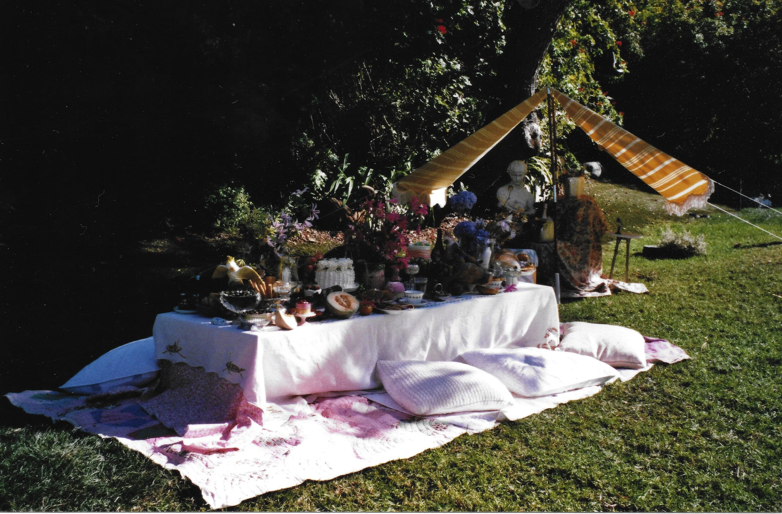 DanielaVillegas PicnicSet_film4.jpeg