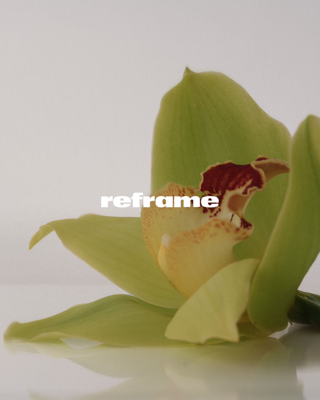 Orchid -3.png