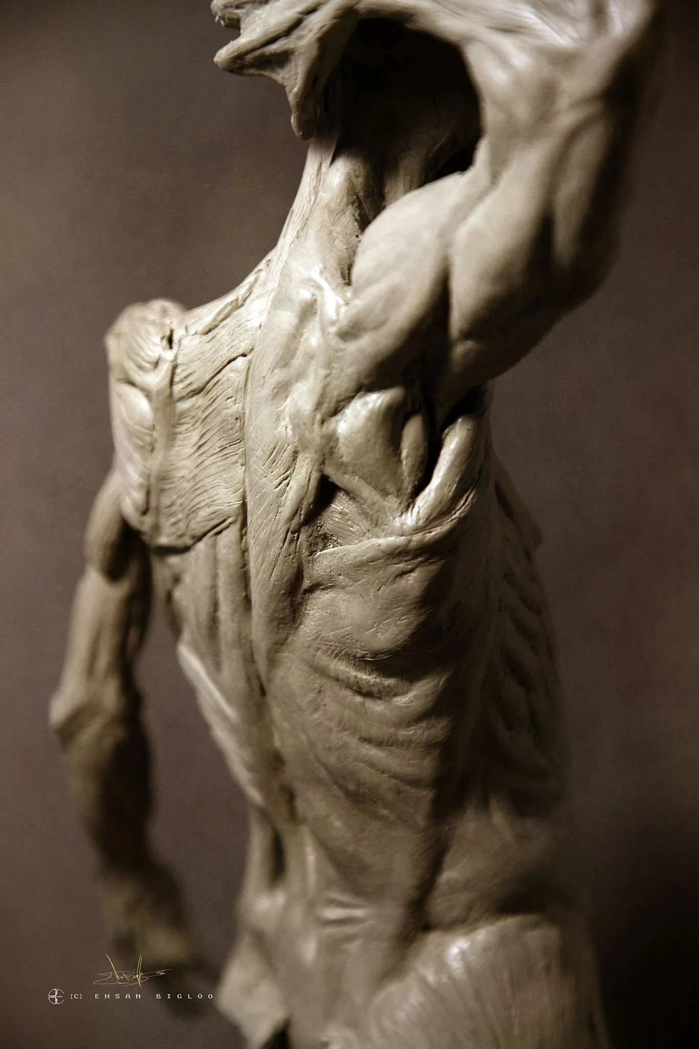 Ehsan Bigloo_An_13 copy.jpg