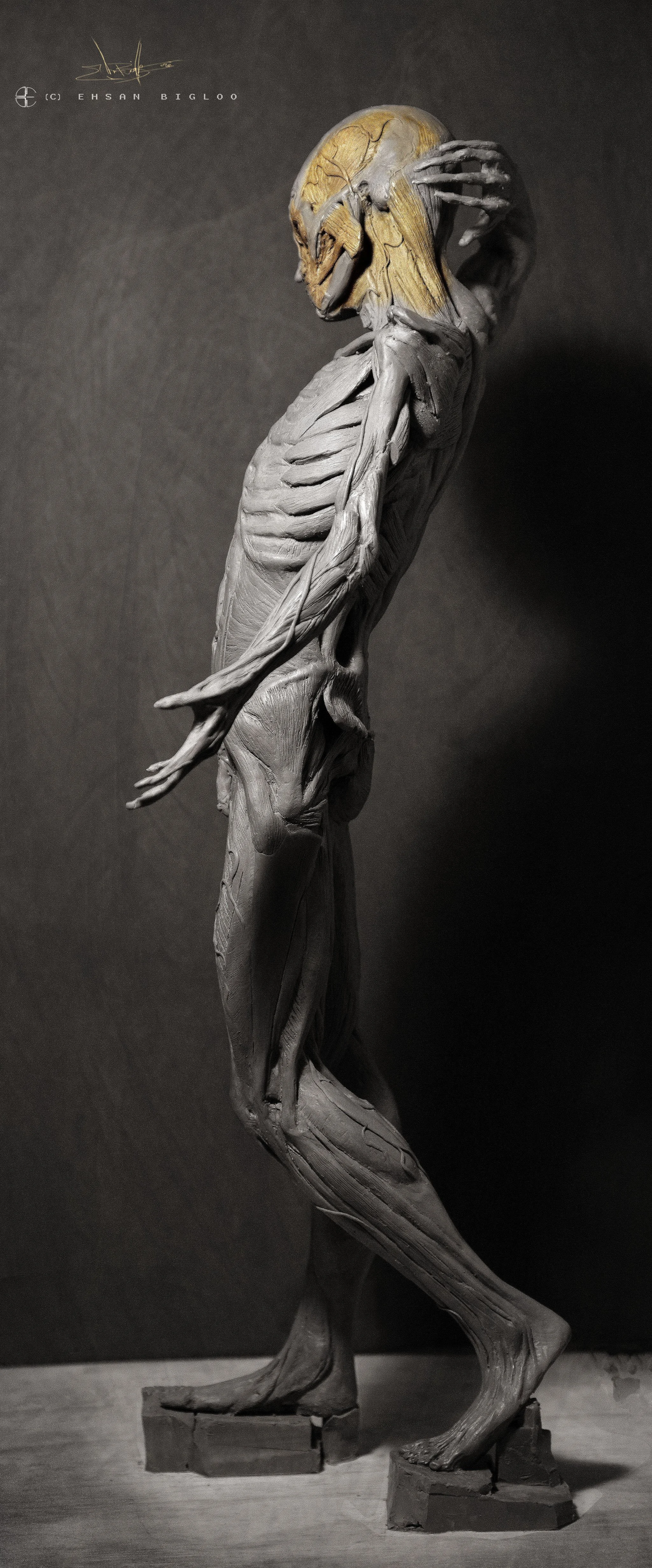 Ehsan Bigloo_An_2 copy.jpg