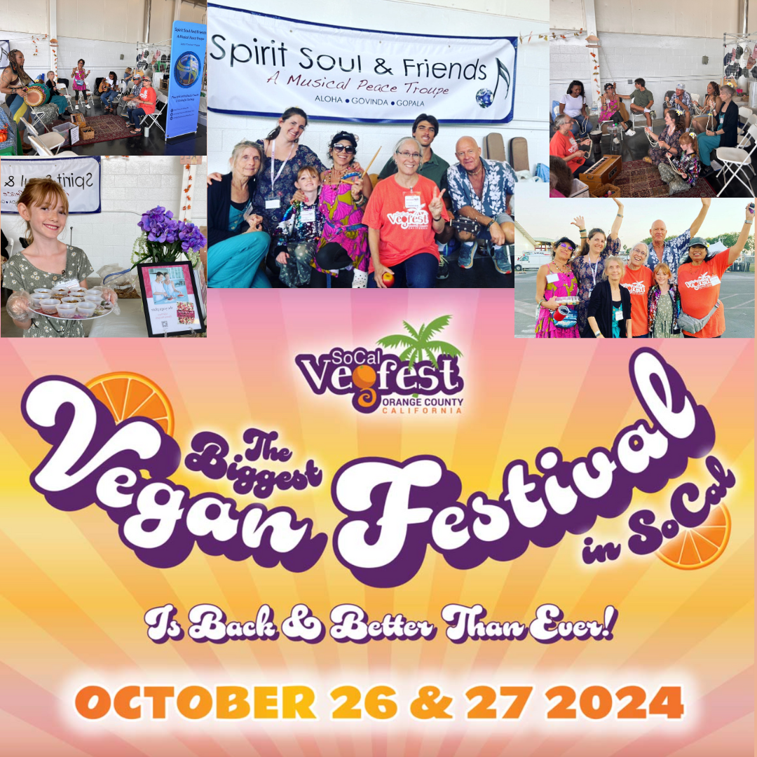 Your October 2024 Newsletter