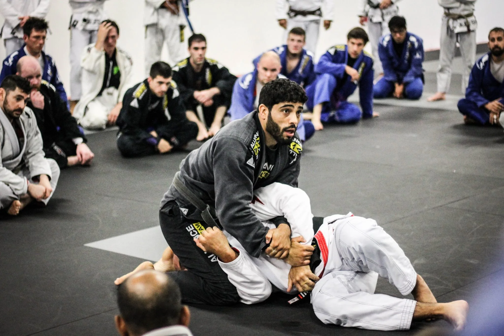 Learning the Jiu Jitsu Belts and rankings — Evolution MMA