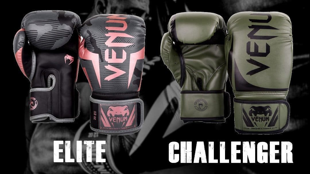 Venum boxing gloves to start boxing at Evolution MMA