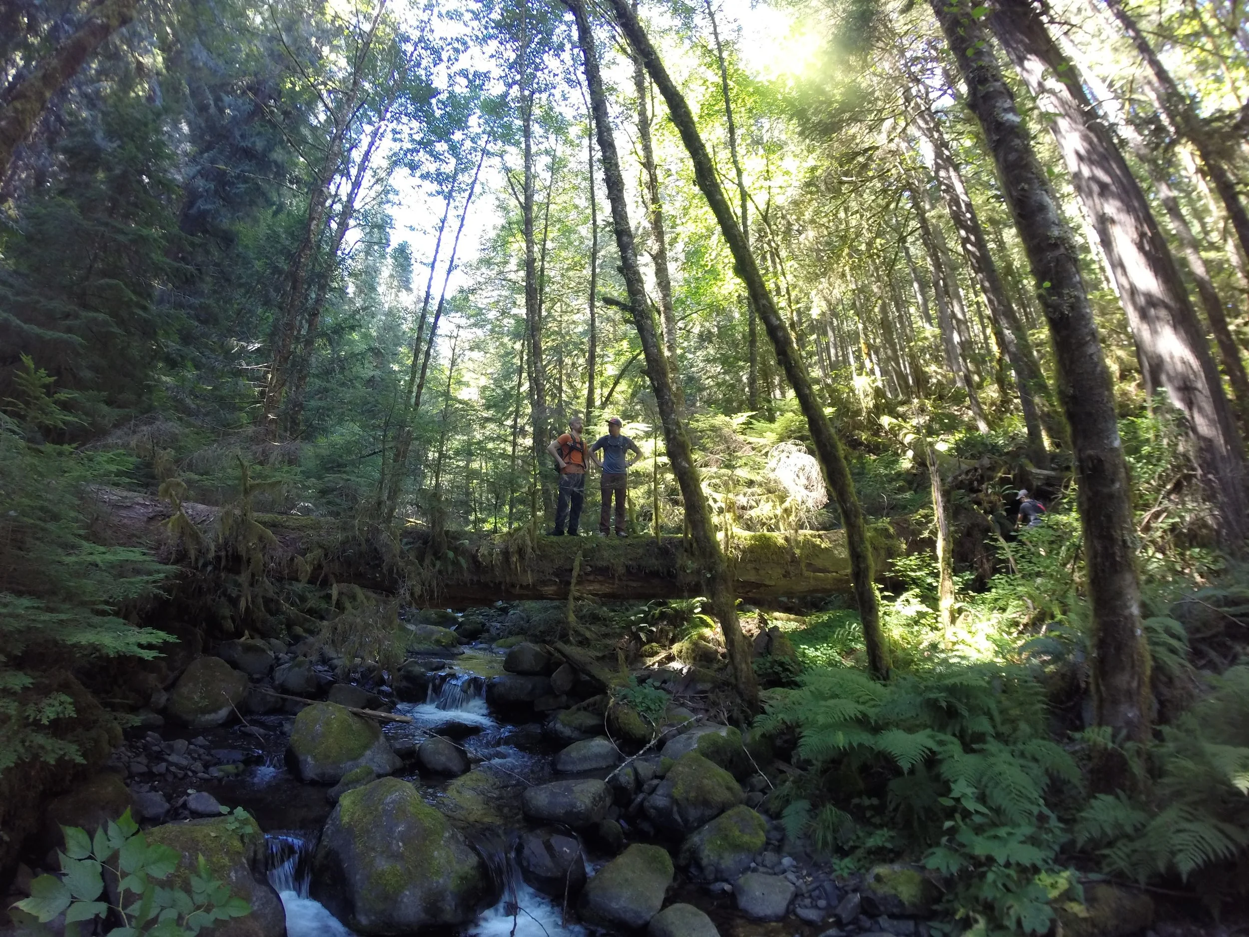 DCIM126GOPRO