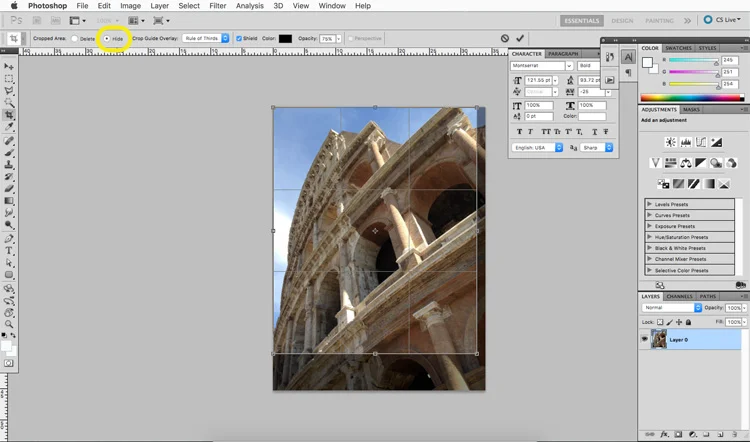 nde-crop-tut-5