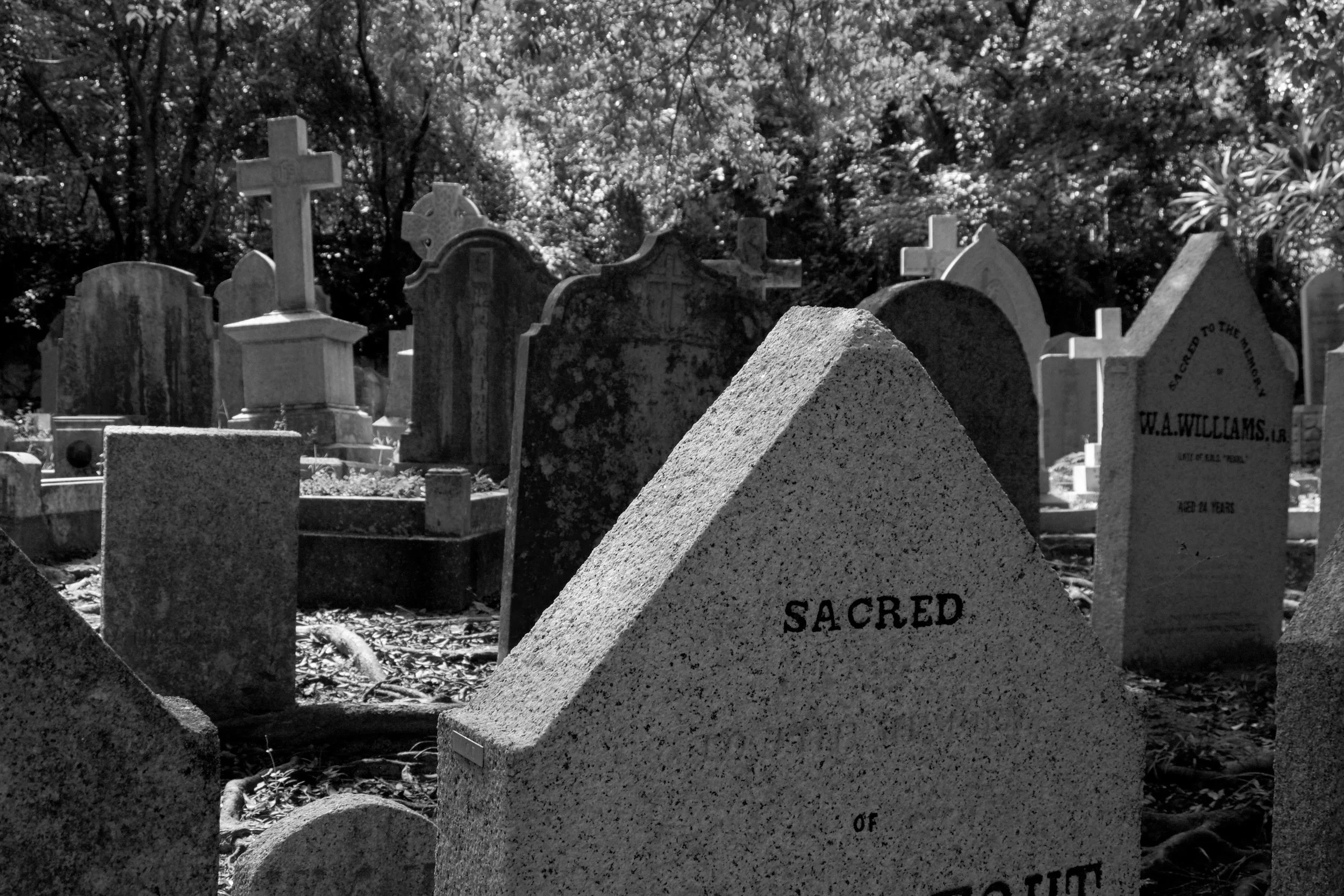 cemetery (1 of 1)-4.jpg