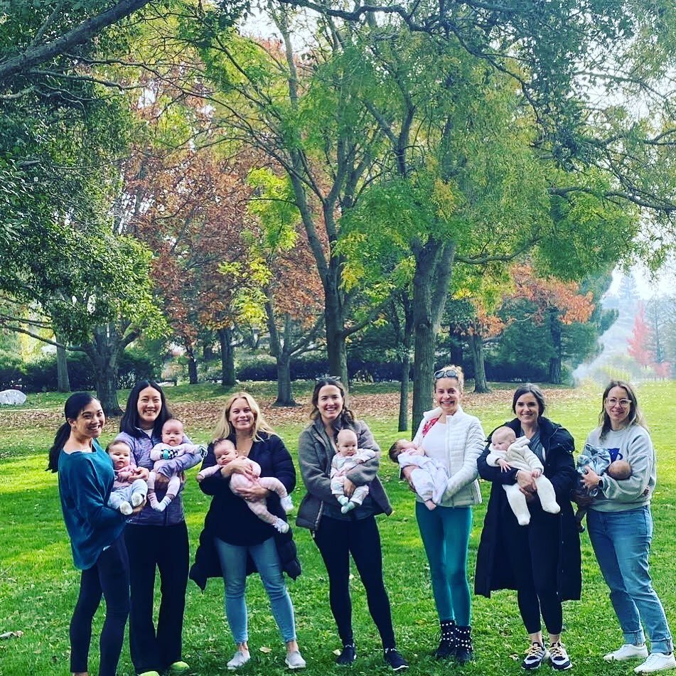 Nothing like Lamorinda in the Fall and meeting up with other parents for support on your parenthood journey! 

Saying farewell to November and HELLO 👋🏻 to the Holiday Season 🎁🕎🎅🏽📮🍾🍁🎄

#lamorindamoms #agebasedplaygroups #parenthood #lamorind