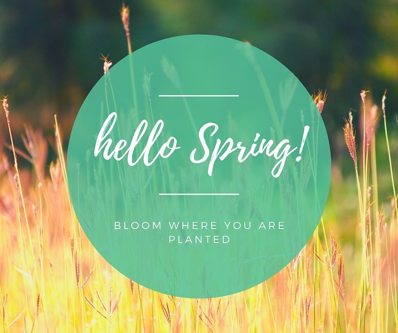 ✌🏻 out Winter and hellooooo Spring 🌸. Winter was full of fun with a new member social, playgroup gatherings and the start of a new facilitated moms group. We are looking forward to the warmer weather and fun Spring Events 🐰 ☀️ 💚