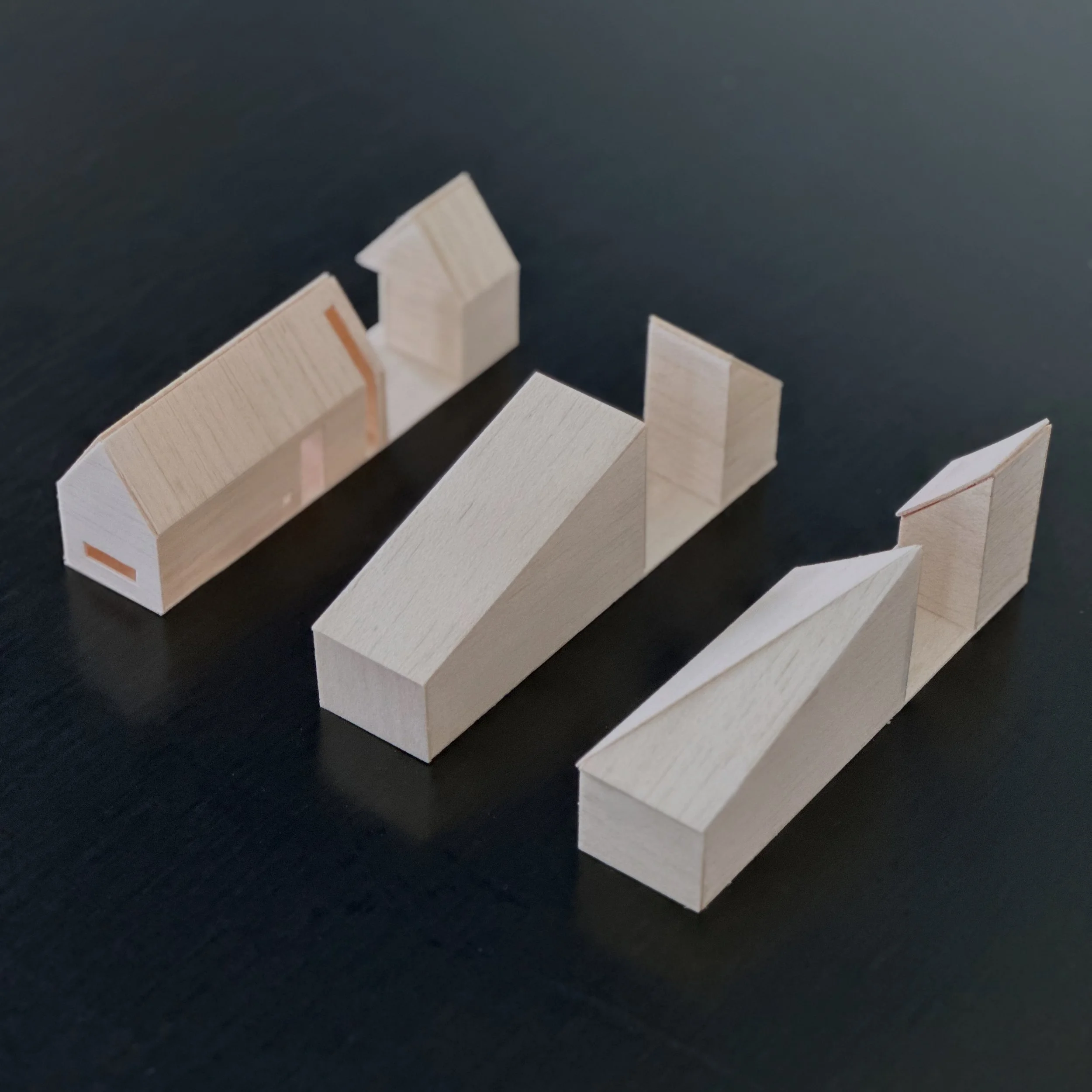 Roof Options Models FGA.JPG