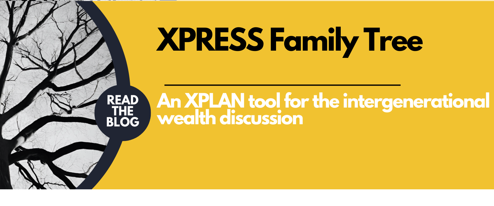 A tool for the Intergenerational Wealth discussion in Xplan