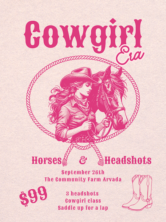 Horses & Headshots 