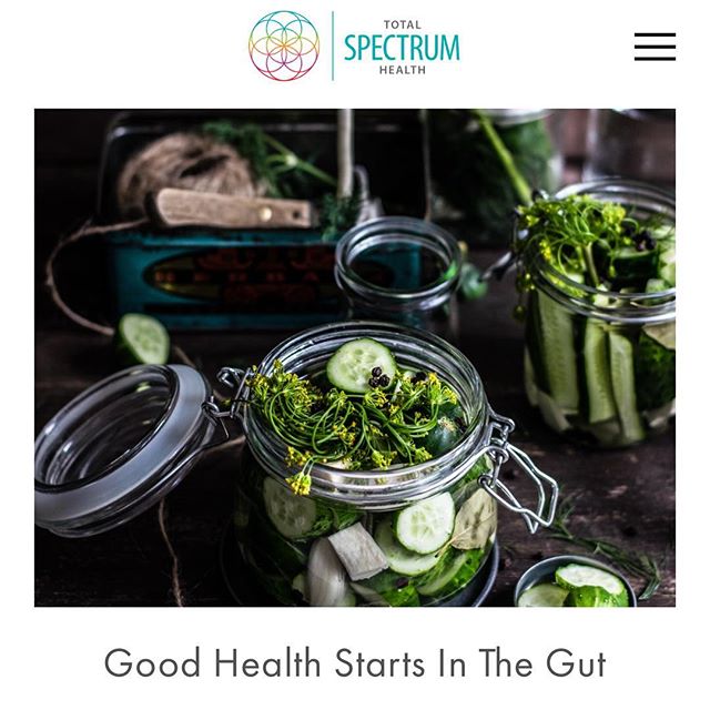 In our new health campaign we will be covering the importance of gut health as a major pillar of wellness.
.
.
The next articles will explain the importance of a healthy digestive system, what illnesses are being researched and linked to poor gut hea