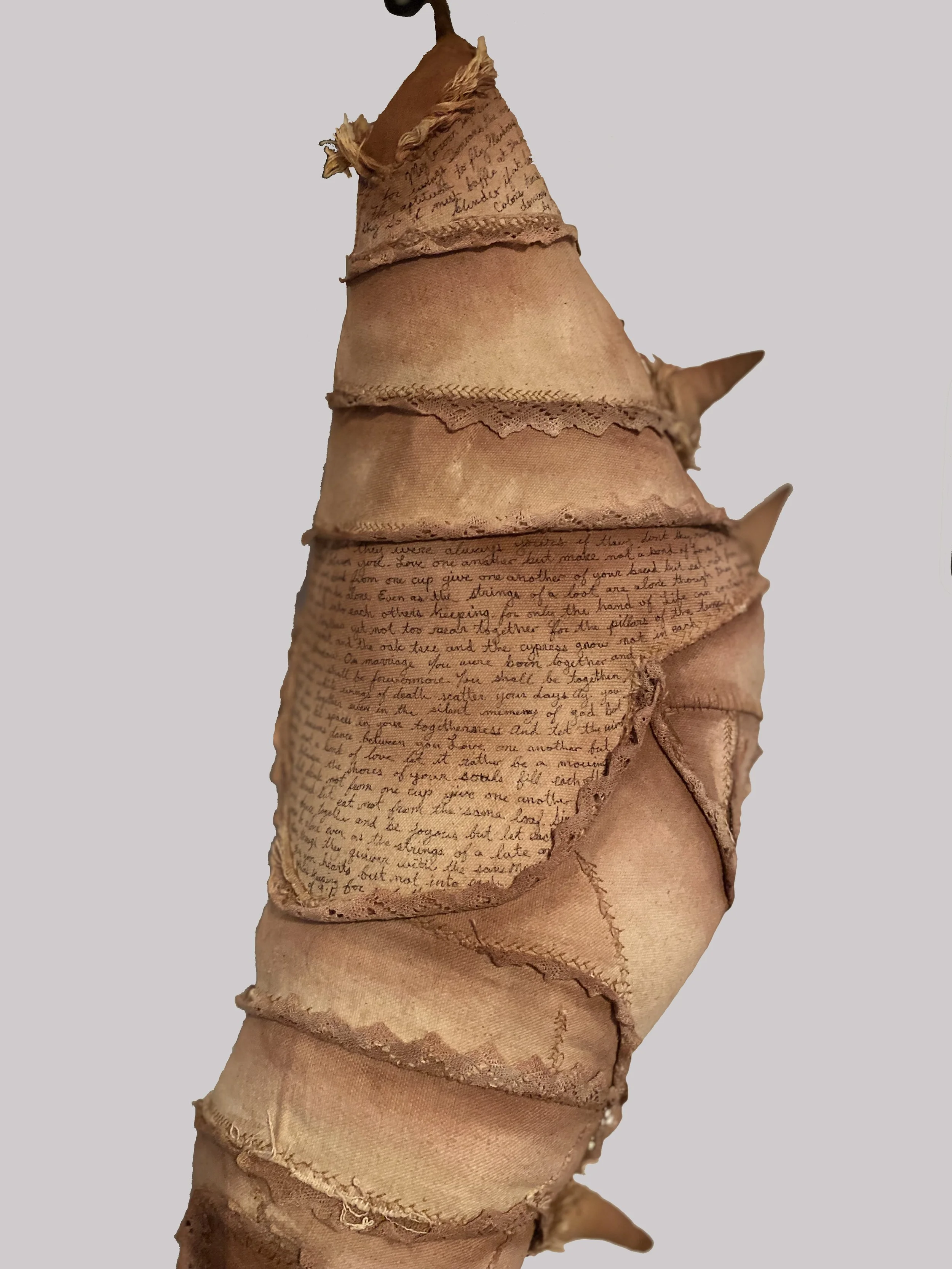 Cocoon-front-close-.jpg