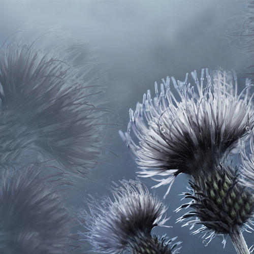 Do you REALLY have anything to complain about?