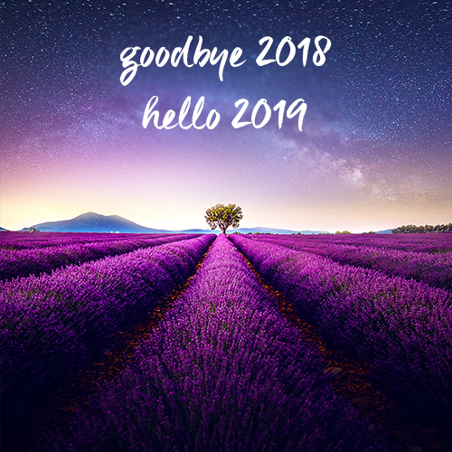 How do you rate your 2018?